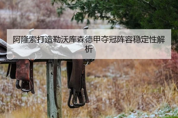 阿隆索打造勒沃库森德甲夺冠阵容稳定性解析