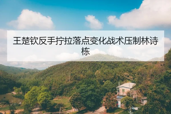 王楚钦反手拧拉落点变化战术压制林诗栋