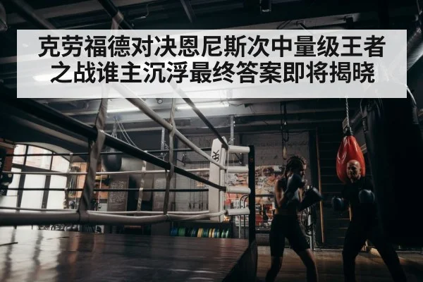 boxer training